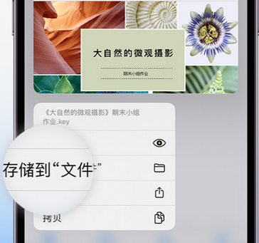 城北apple维修中心分享iPhone文件应用中存储和找到下载文件