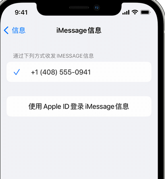 城北apple维修iPhone上无法正常发送iMessage信息 