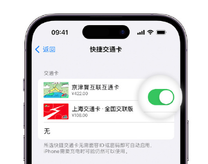 城北apple维修点分享iPhone上更换Apple Pay快捷交通卡手绘卡面 