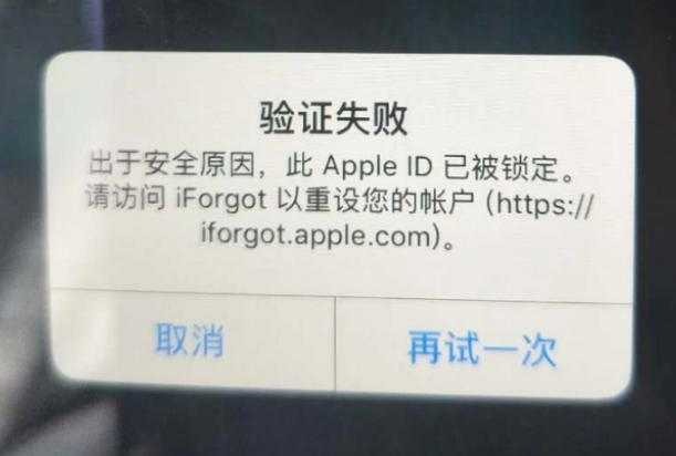 城北iPhone维修分享iPhone上正常登录或使用AppleID怎么办 