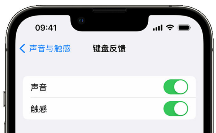 城北苹果手机维修分享iPhone 14触感键盘使用方法 