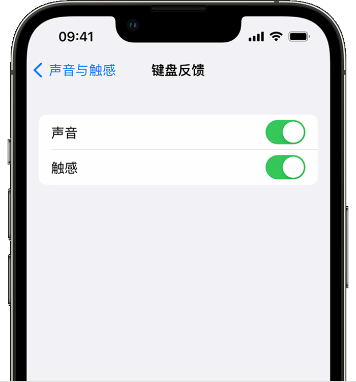 城北苹果14维修店分享如何在 iPhone 14 机型中使用触感键盘 