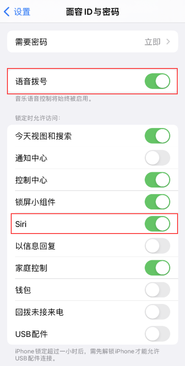 城北苹果维修网点分享不解锁 iPhone 的情况下通过 Siri 拨打电话的方法 