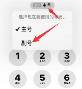 城北苹果14维修店分享iPhone 14 Pro Max使用副卡打电话的方法 