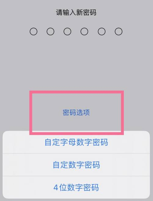 城北苹果14维修分享iPhone 14plus设置密码的方法 