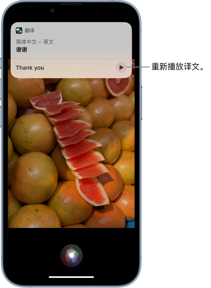 城北苹果14维修分享 iPhone 14 机型中使用 Siri：了解 Siri 能帮你做什么 