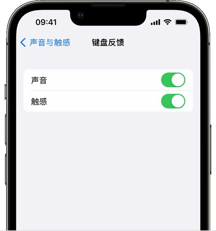城北苹果14维修分享iPhone 14 系列机型如何开启键盘声音或触感反馈 