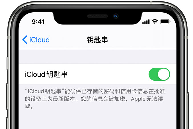 城北苹果手机维修分享在 iPhone 上开启 iCloud 钥匙串之后会储存哪些信息 