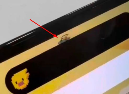 城北苹果14维修分享iPhone 14 Pro Max灵动岛怎么养宠物 