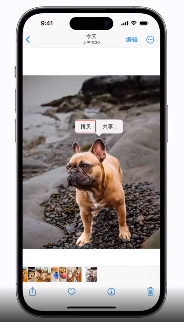城北苹果手机维修分享 iOS 16 自带一键抠图功能 