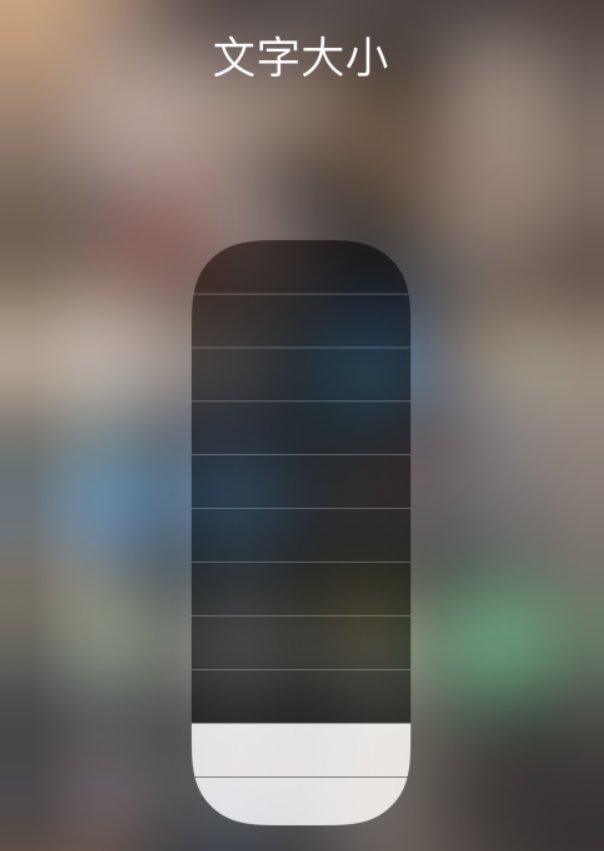 城北苹果手机维修分享小技巧：在 iPhone 控制中心快速调节字体大小 