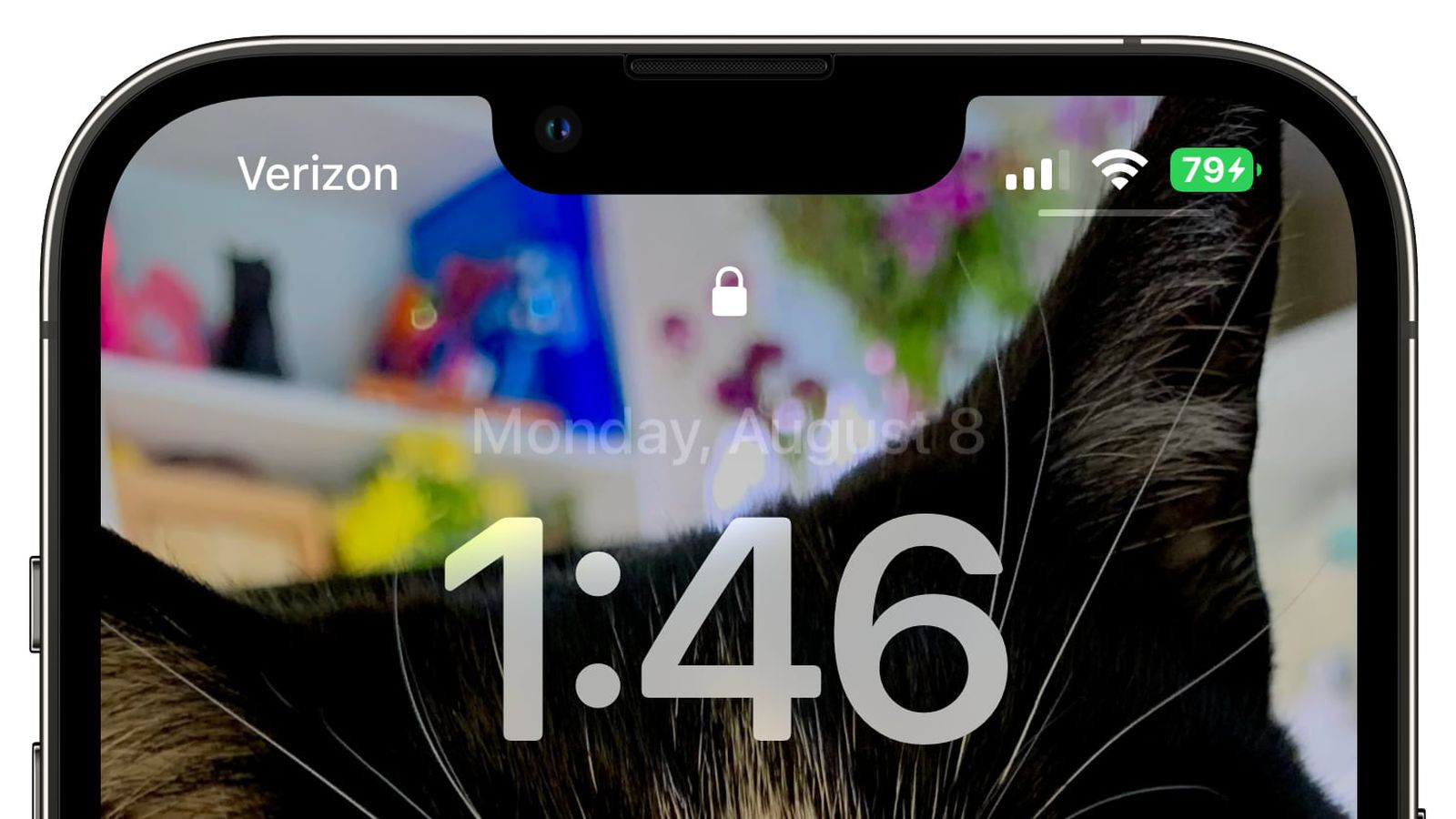 城北苹果手机维修分享iOS 16 beta 5 支持状态栏显示电池百分比，如何开启？支持哪些机型 