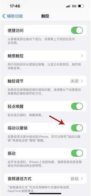 城北苹果手机维修分享iPhone手机如何设置摇一摇删除文字 