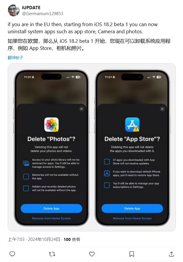 城北苹果手机维修分享iOS 18.2 支持删除 App Store 应用商店 