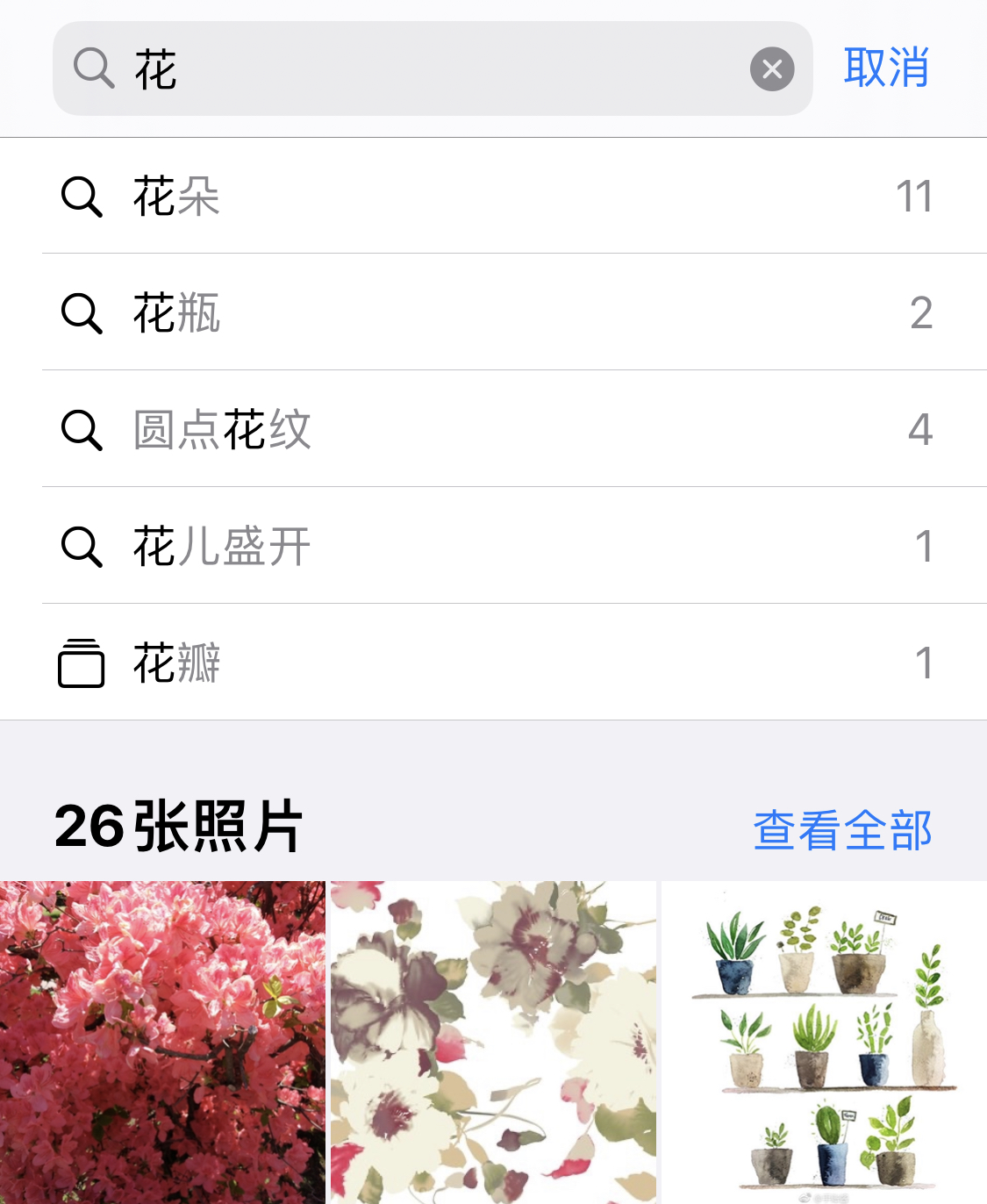 城北苹果手机维修分享iPhone 小技巧 
