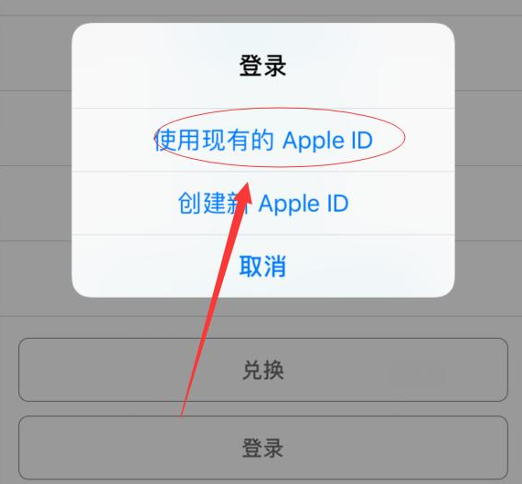 城北苹果手机维修分享两台iPhone设备可以同时登录一个Apple ID吗 
