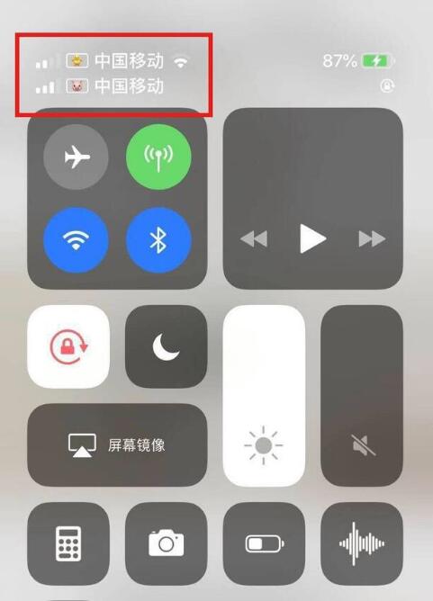 城北苹果手机维修分享为 iPhone 12 双卡设置标签 