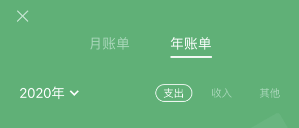 城北苹果手机维修分享如何在 iPhone 上查看支付宝和微信年支出账单 